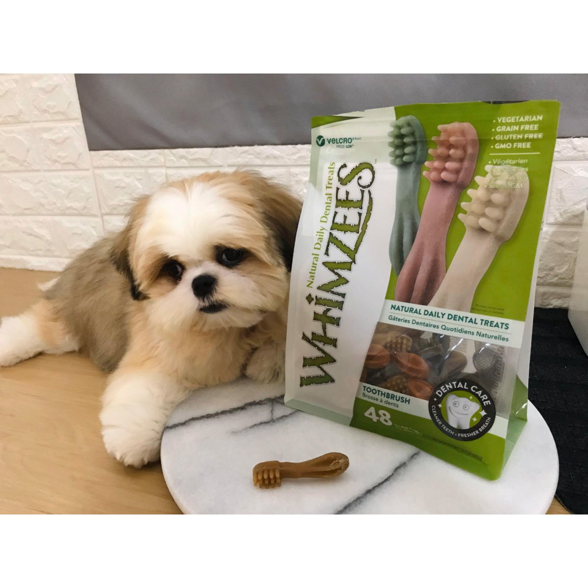 Small dog with Whimzees toothbrush dental chews for everyday dental care