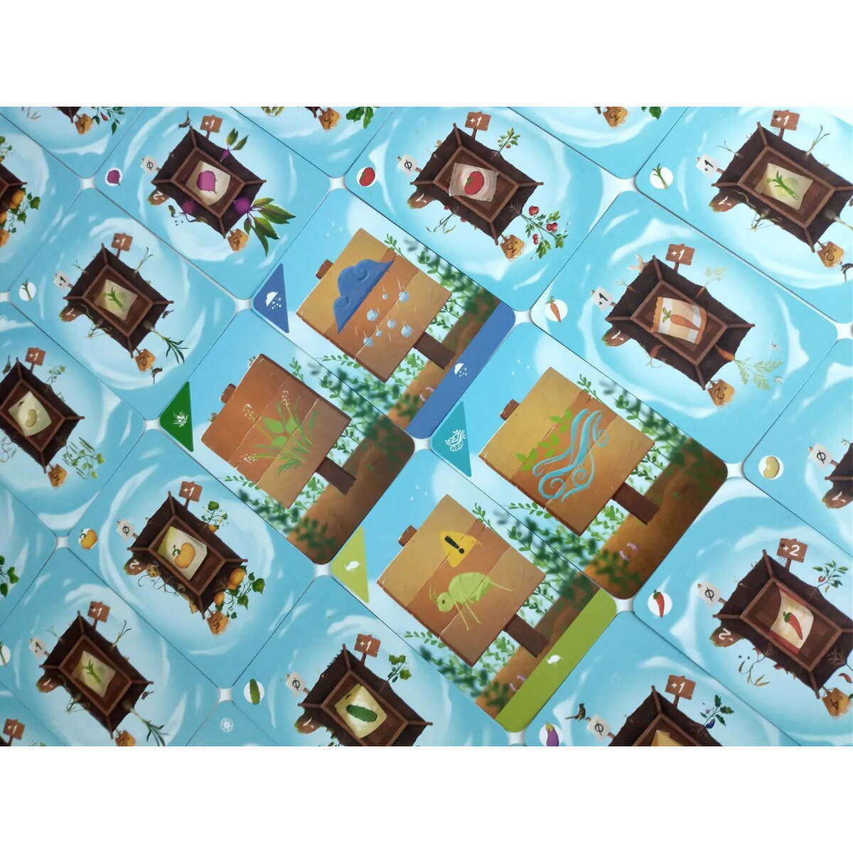 Unbeetable card game setup with plant cards arranged into player garden grids