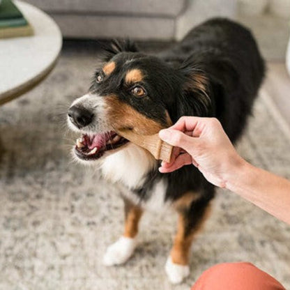 Dog enjoying a Whimzees antler dental chew during daily oral care routine