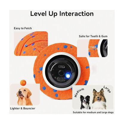 Interactive dog ball size and safety infographic showing gentle outer shell thickness and suitability for medium and large dogs
