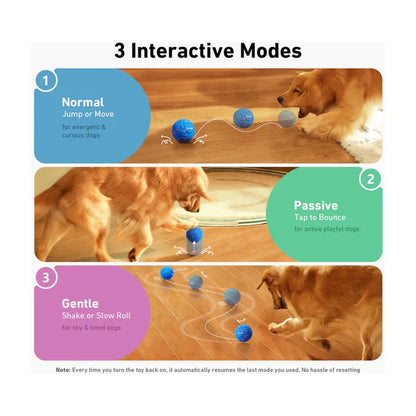 Interactive dog ball showing three play modes normal passive and gentle with moving path examples