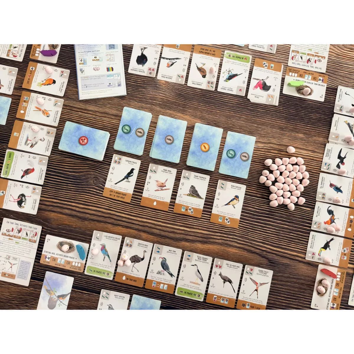 Wingspan Pocket game setup with bird cards, food cards and egg tokens